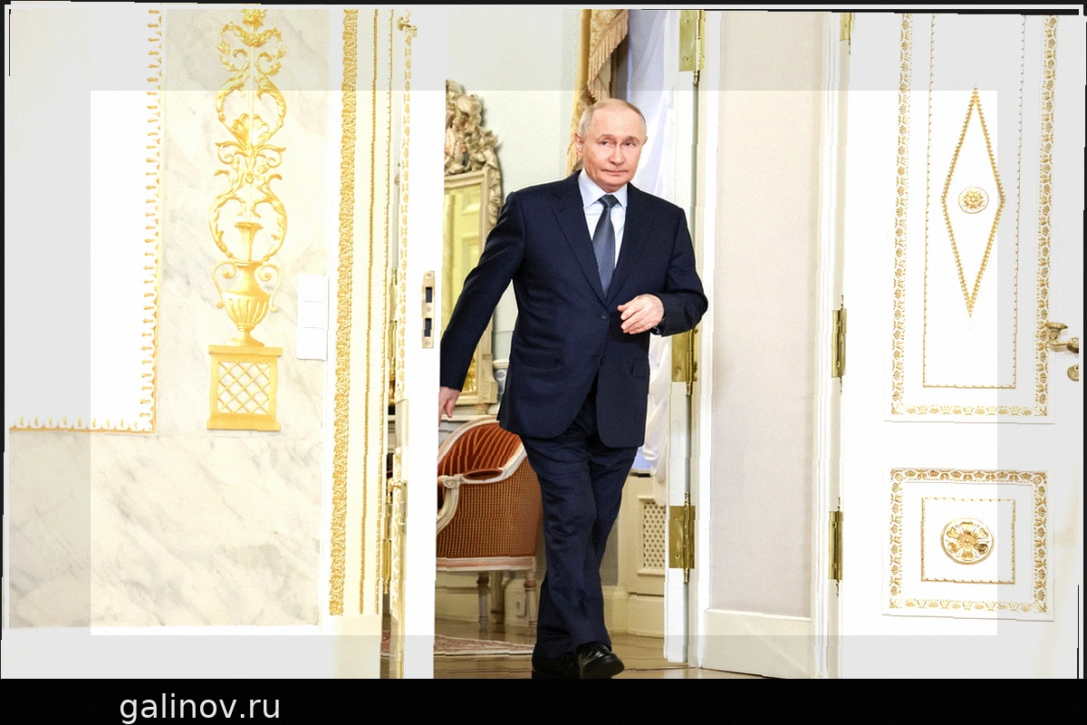 МИД РФ: Приглашения Путину на саммит G20 в США пока нет