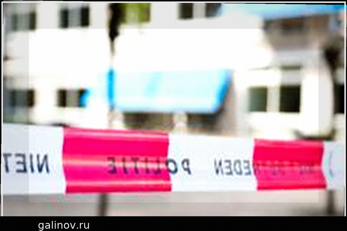 Dutch Police Investigate Alleged Drugging and Sexual Assault Cases Involving Multiple Women