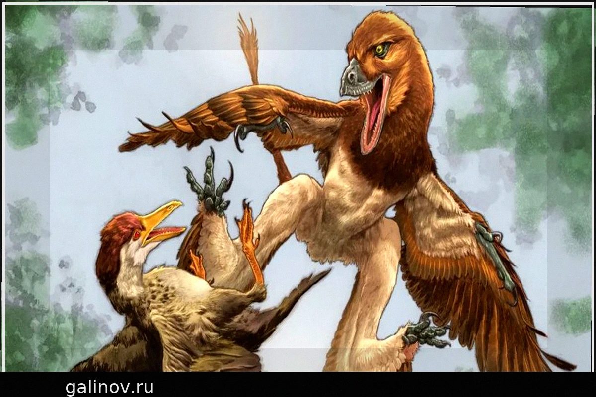 A new dino fossil may solve an ancient murder mystery