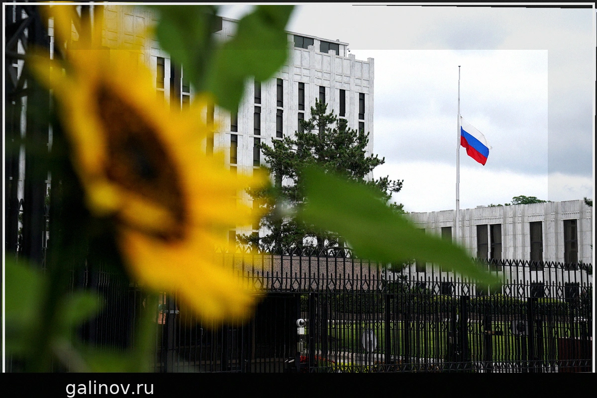 Американский юрист оценил законность изъятия США российской собственности