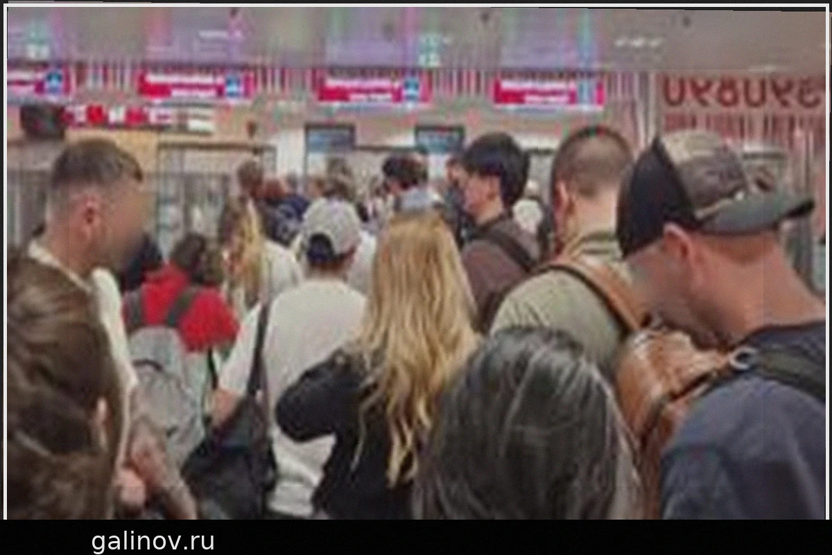 Stop pretending EU's new border system is working, says airports chief