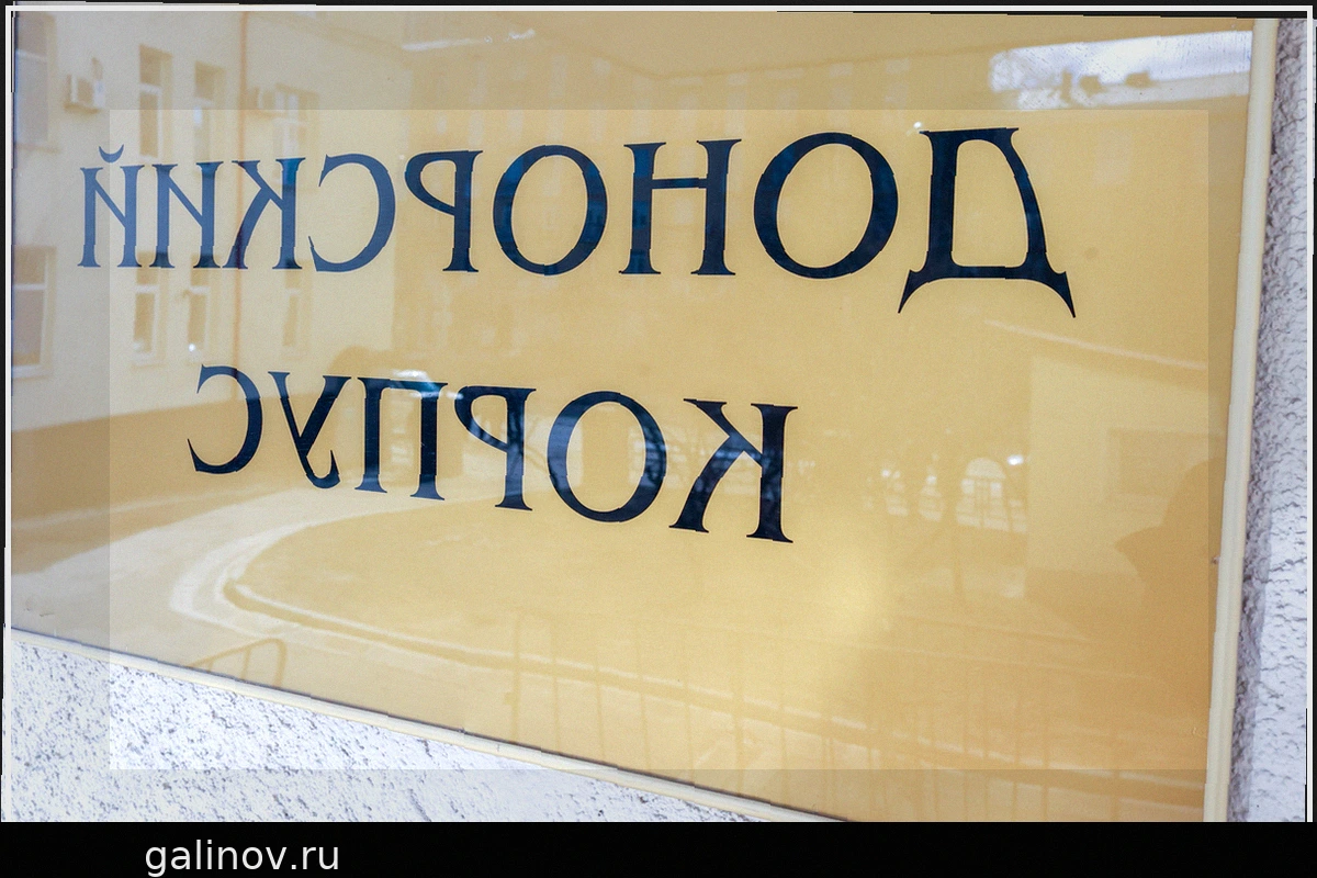 В России предложили существенно увеличить выплаты за сдачу крови и ввести новые звания для доноров