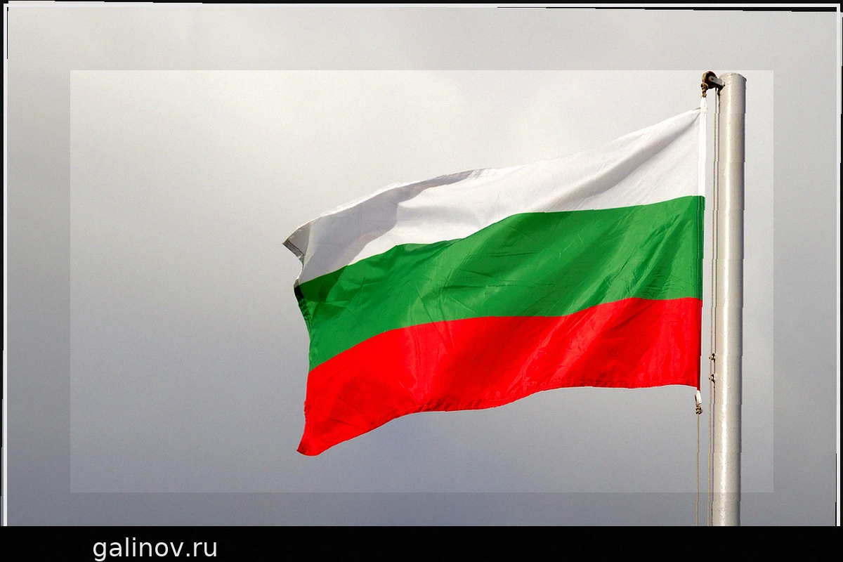 Болгарский Депутат Оценил Поставки Оружия Украине как Крупную Ошибку Софии