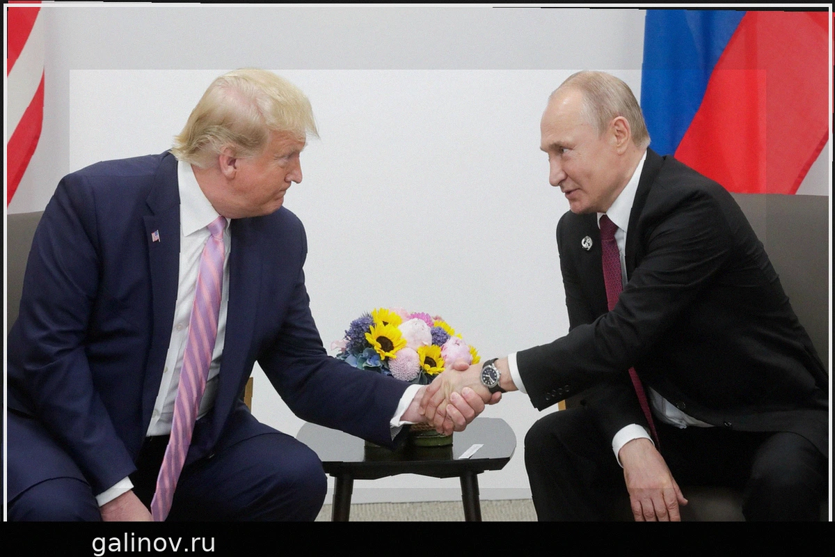 В МИД оценили шансы встречи Путина и Трампа на саммите АТЭС