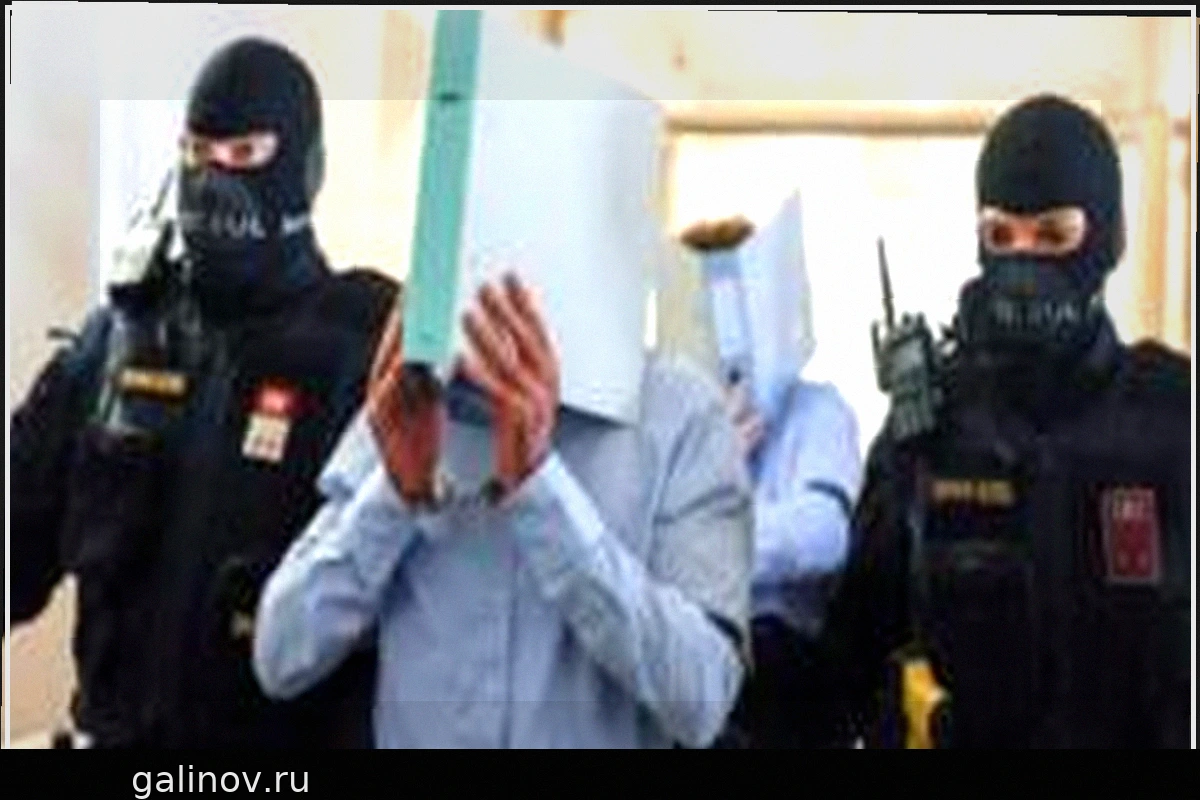 Житель Австрии приговорен к 15 годам тюрьмы за подготовку теракта на концерте Тейлор Свифт в Вене
