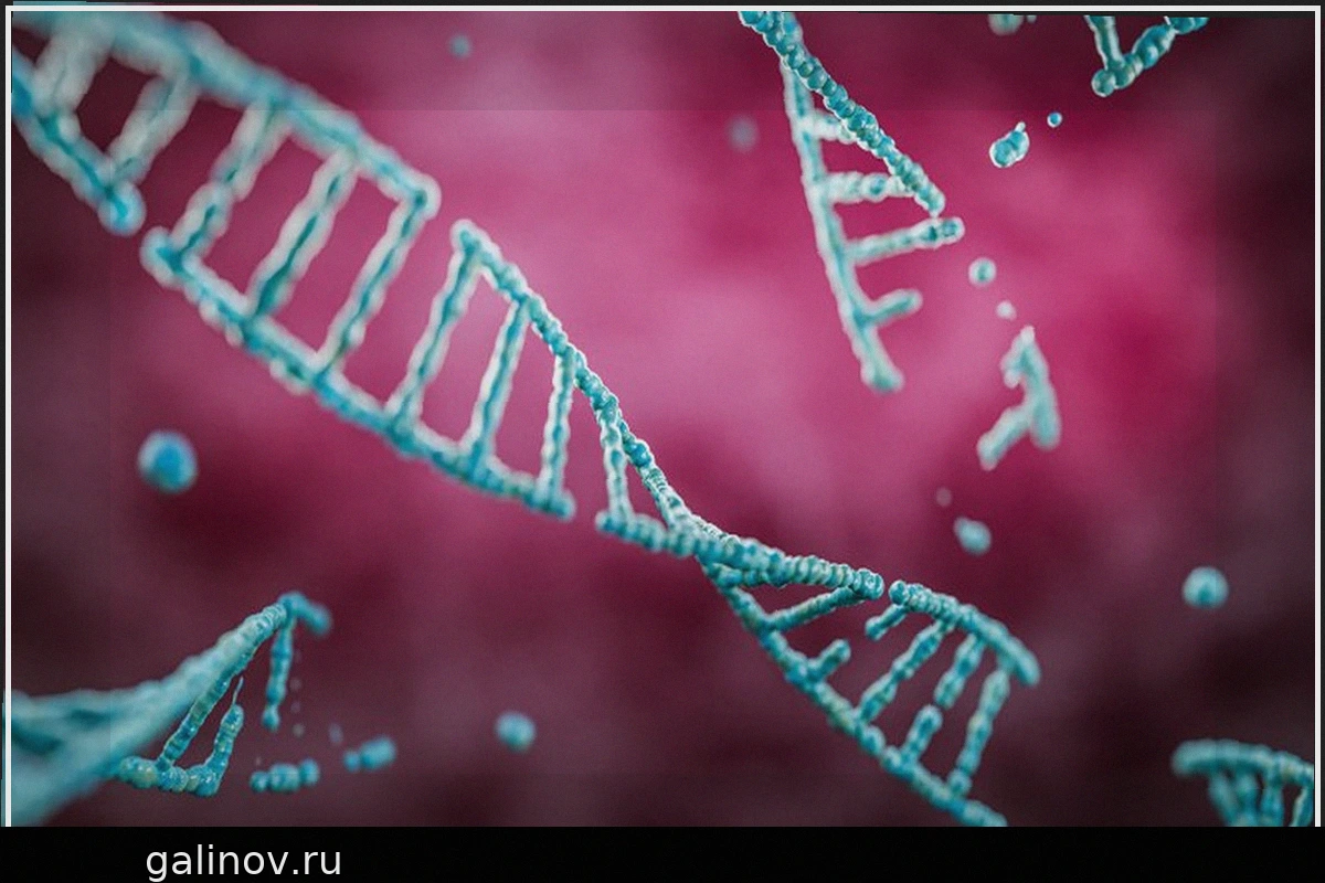 Brains break and repair DNA to grow