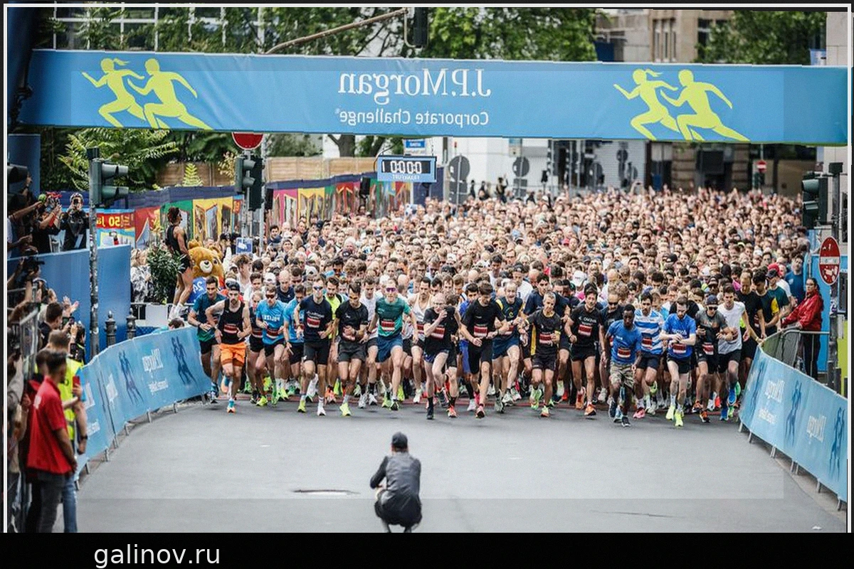 Забег J.P.-Morgan-Challenge 2026 во Франкфурте: маршрут, перекрытия, прогноз погоды
