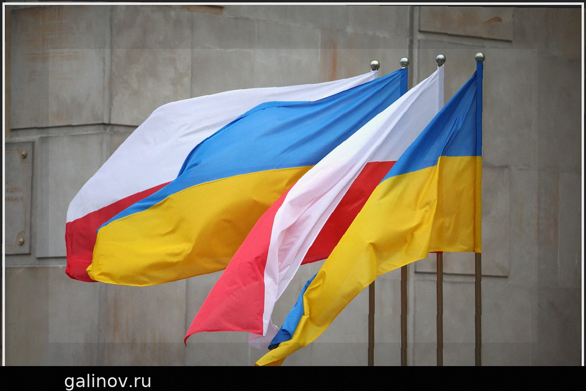 Заявления украинского националиста вызвали возмущение в Польше
