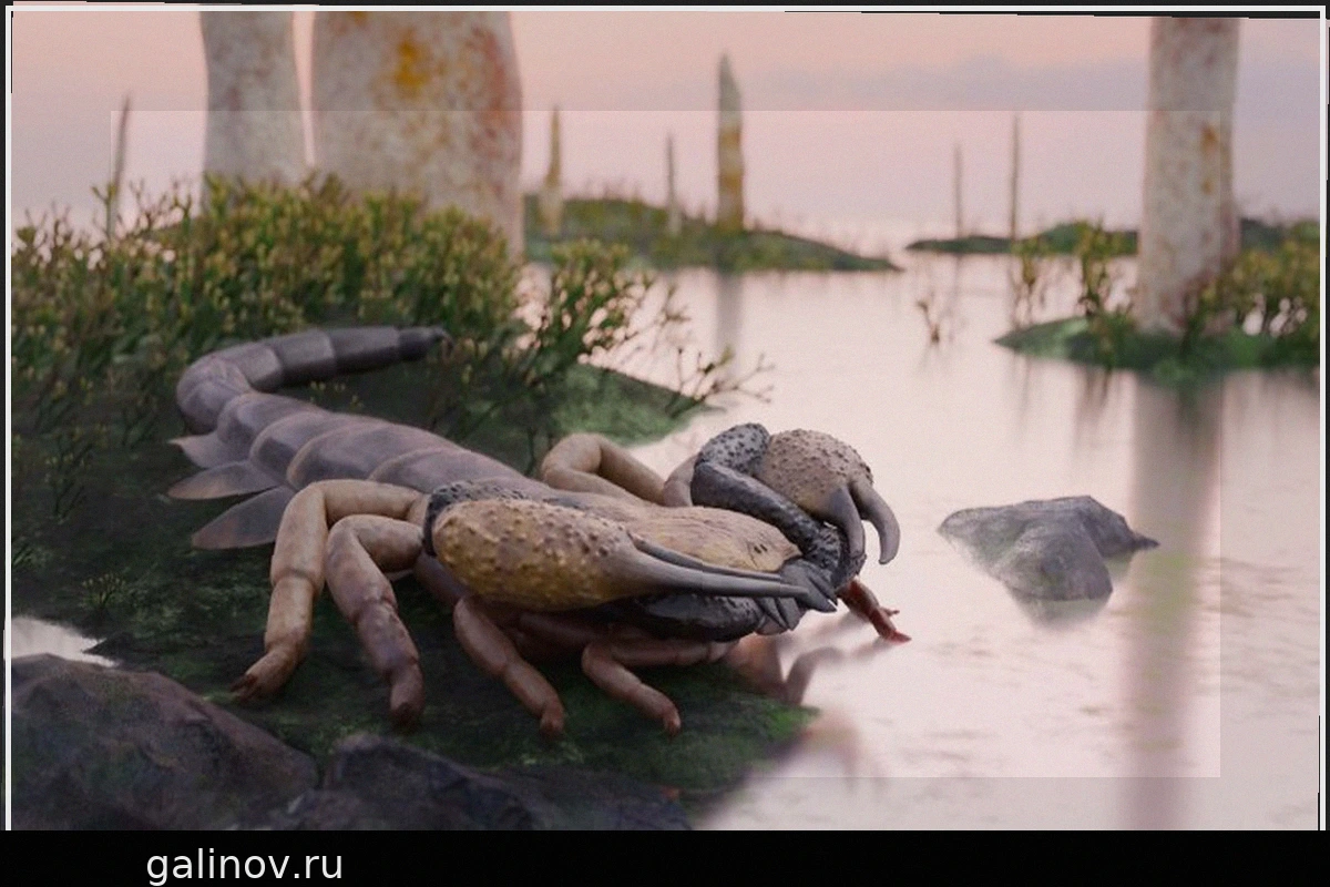The world’s largest scorpion lived 415 million years ago