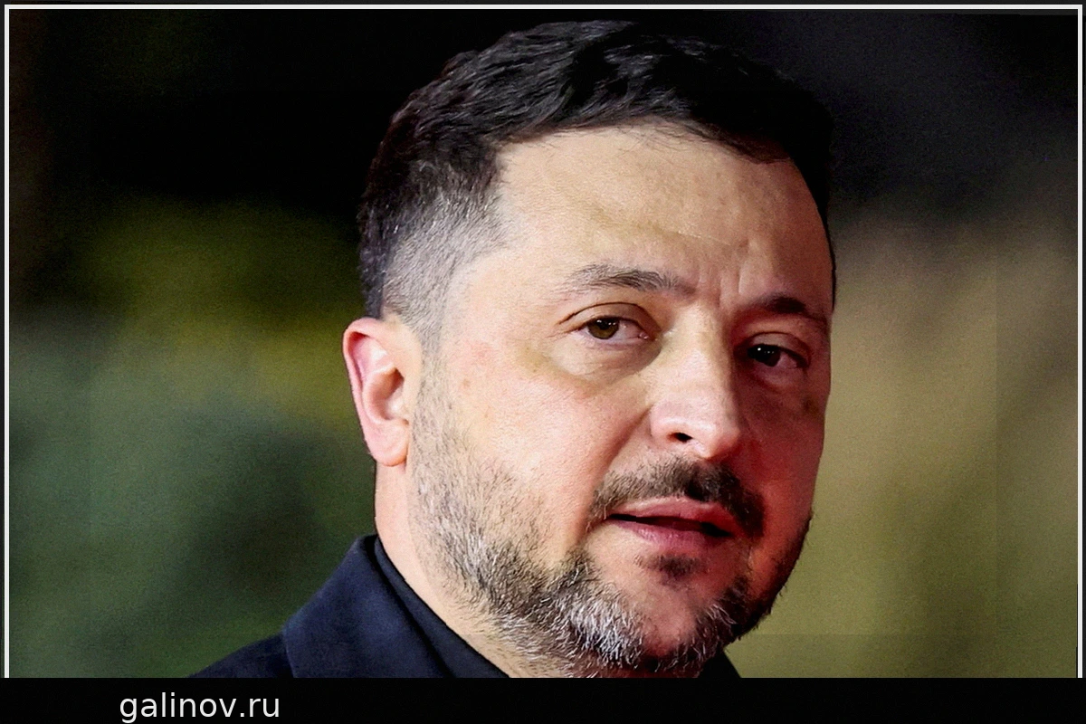 Европейский политик назвал "безумием" предложение Зеленского о БПЛА-экспертах