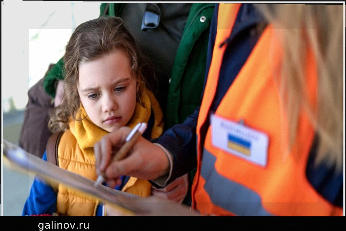 Анализ волос: новый метод выявления хронического стресса у военных беженцев
